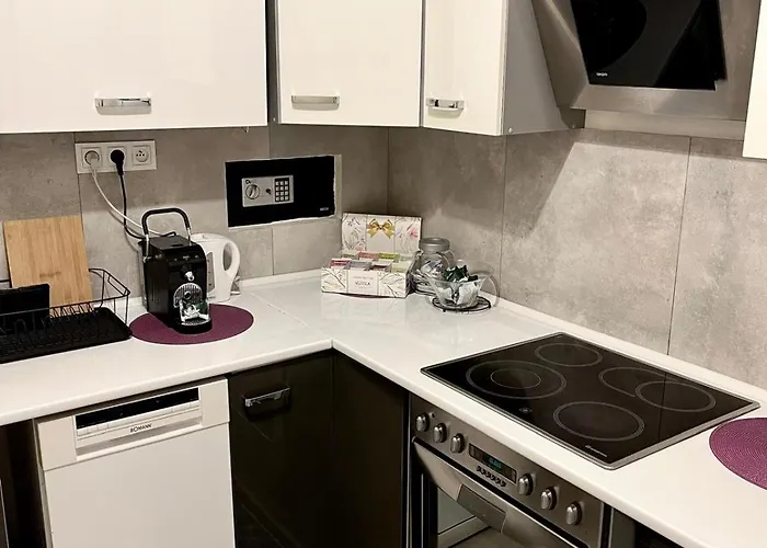 Plac Staszica Διαμέρισμα